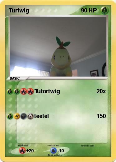 Pokemon Turtwig