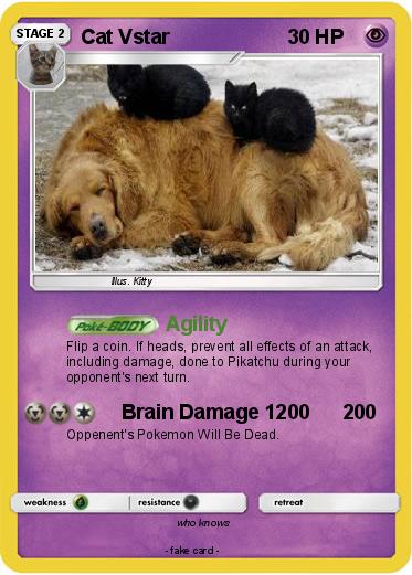 Pokemon Cat Vstar