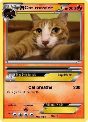 Pokemon Cat master