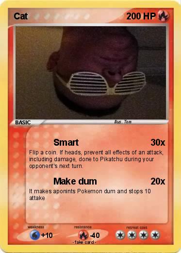 Pokemon Cat