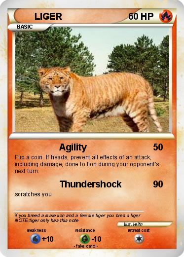 Pokemon LIGER