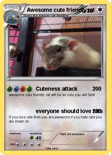 Pokemon Awesome cute friendly rat