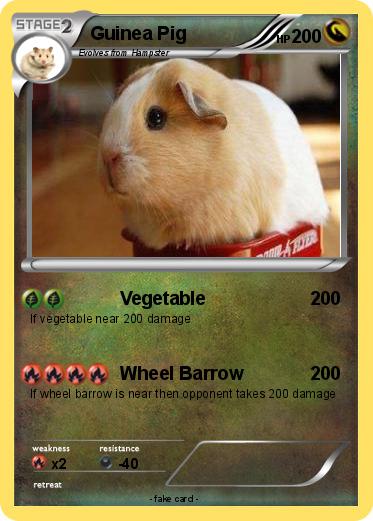 Pokemon Guinea Pig