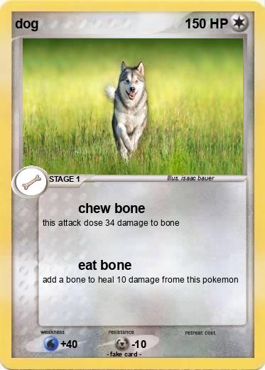 Pokemon dog