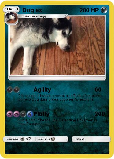 Pokemon Dog ex