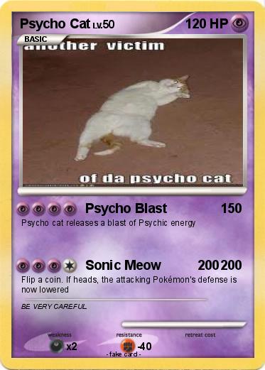 Pokemon Psycho Cat