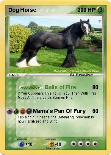 Pokemon Dog Horse