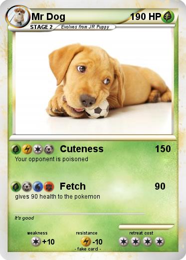 Pokemon Mr Dog