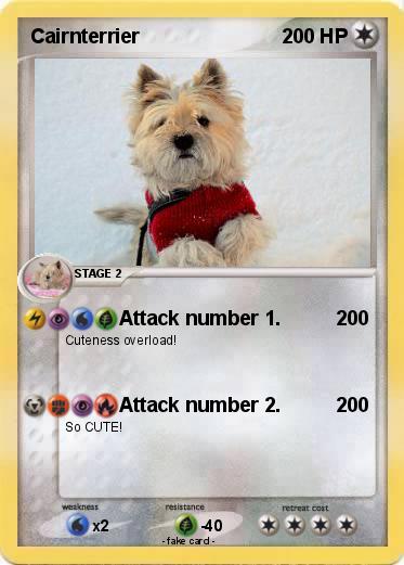 Pokemon Cairnterrier