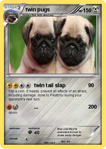 Pokemon twin pugs