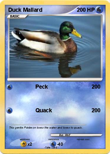Pokemon Duck Mallard