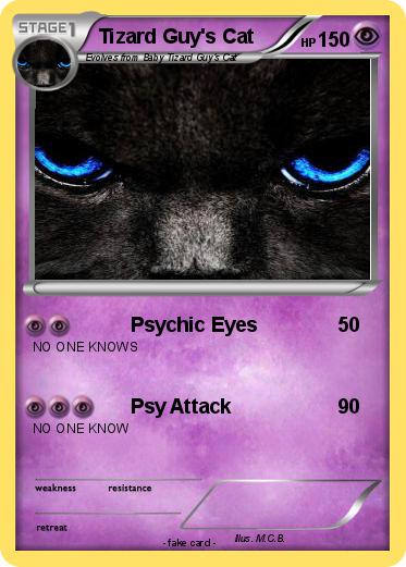Pokemon Tizard Guy's Cat