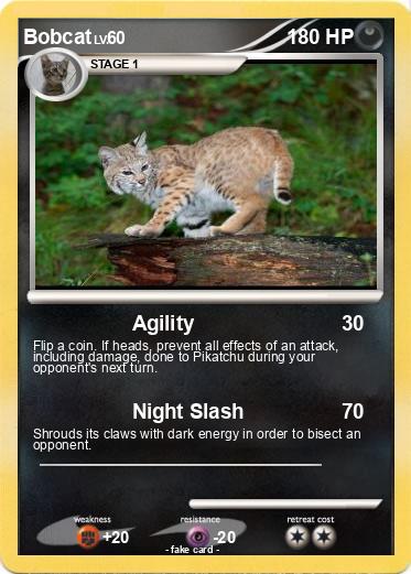 Pokemon Bobcat
