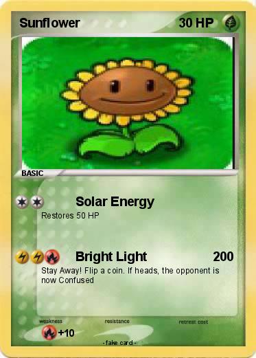 Pokemon Sunflower