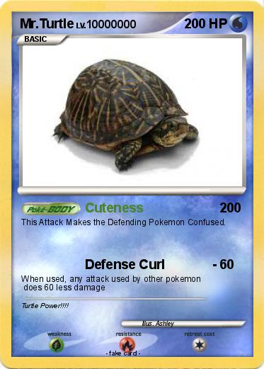 Pokemon Mr.Turtle