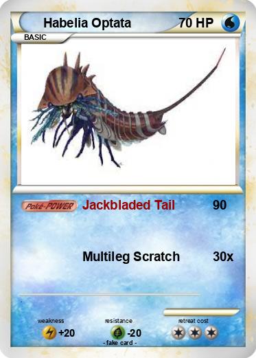 Pokemon Habelia Optata