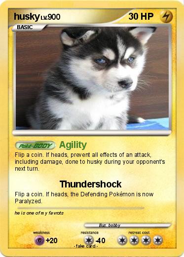 Pokemon husky