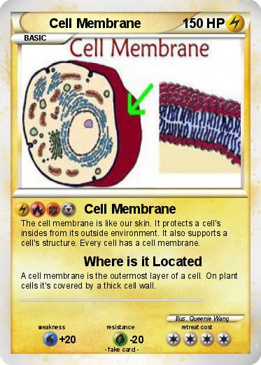 Pokemon Cell Membrane