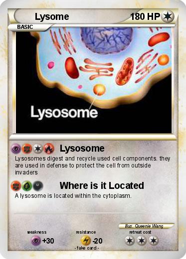 Pokemon Lysome