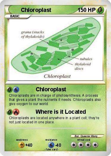 Pokemon Chloroplast