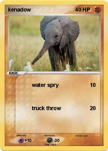 Pokemon kenadow