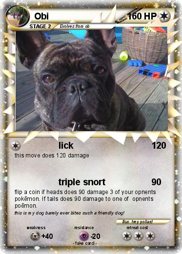 Pokemon Obi