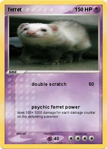 Pokemon ferret