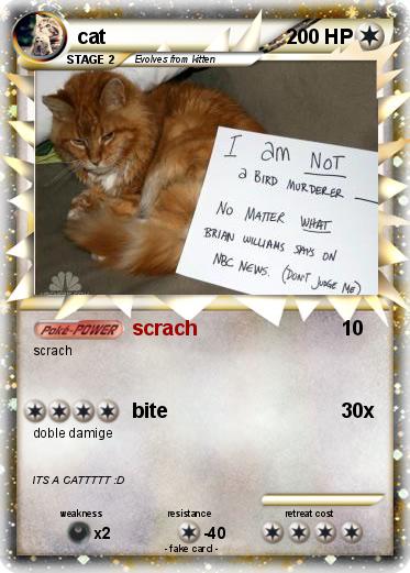Pokemon cat