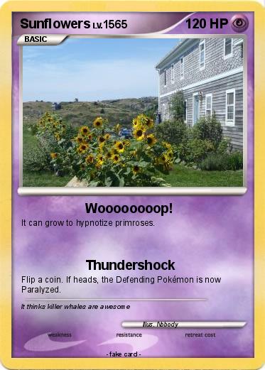 Pokemon Sunflowers