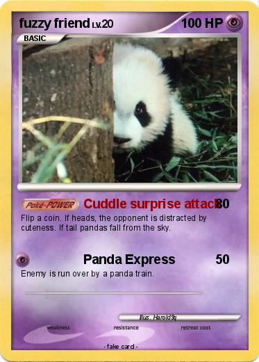 Pokemon fuzzy friend