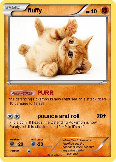 Pokemon fluffy