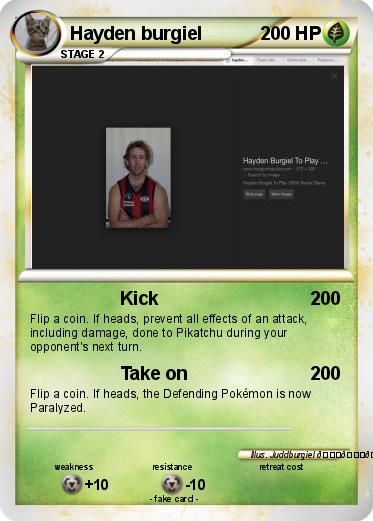 Pokemon Hayden burgiel