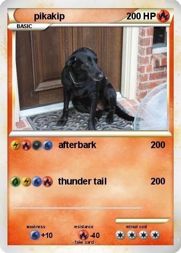 Pokemon pikakip