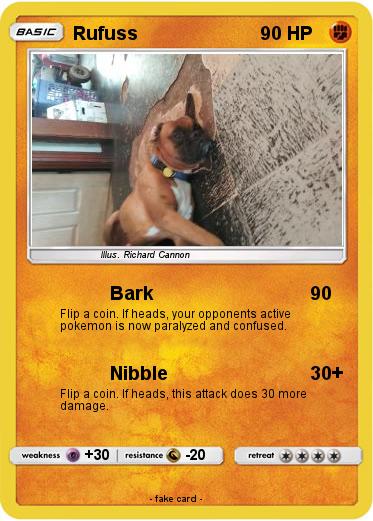 Pokemon Rufuss