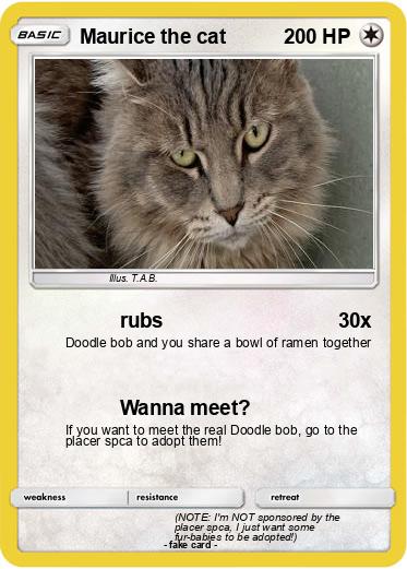 Pokemon Maurice the cat