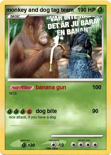 Pokemon monkey and dog tag team