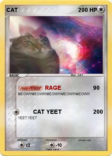 Pokemon CAT