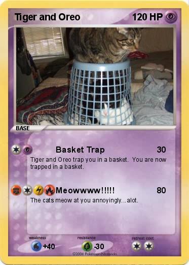 Pokemon Tiger and Oreo
