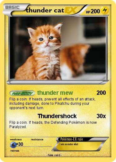 Pokemon thunder cat