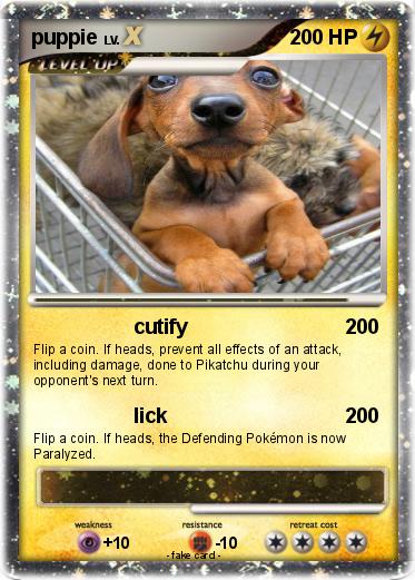 Pokemon puppie