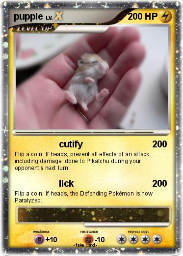 Pokemon puppie