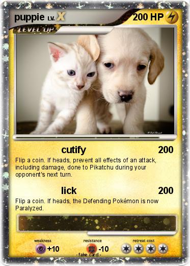 Pokemon puppie