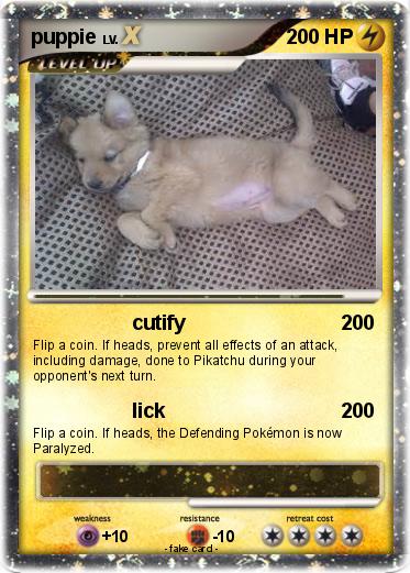 Pokemon puppie