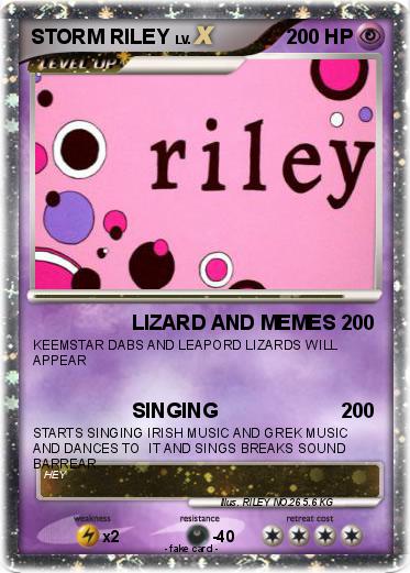 Pokemon STORM RILEY
