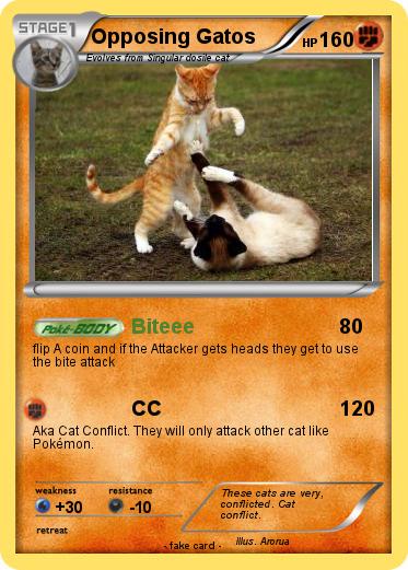 Pokemon Opposing Gatos