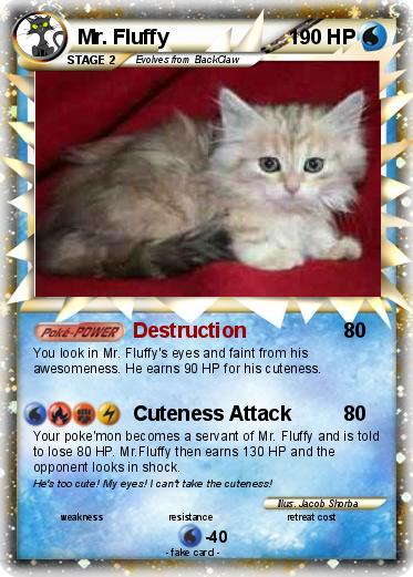 Pokemon Mr. Fluffy