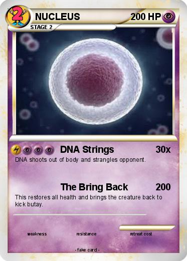 Pokemon NUCLEUS