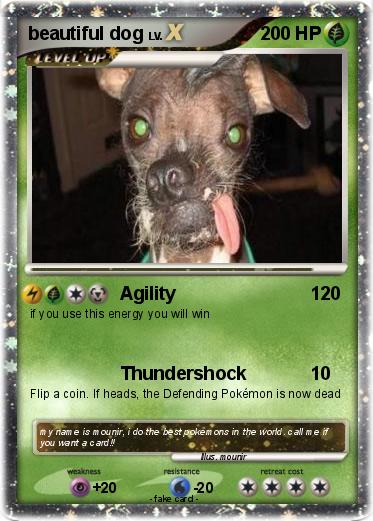 Pokemon beautiful dog