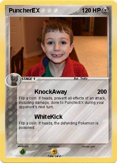 Pokemon PuncherEX