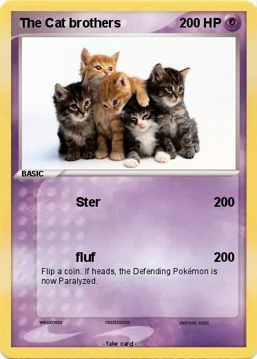 Pokemon The Cat brothers
